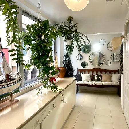 Niko * Santa Cruz de Tenerife