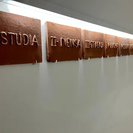 Niko * Santa Cruz de Tenerife