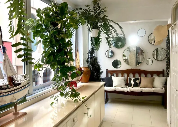 Niko * Santa Cruz de Tenerife