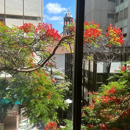 Niko Kwatera prywatna Santa Cruz de Tenerife